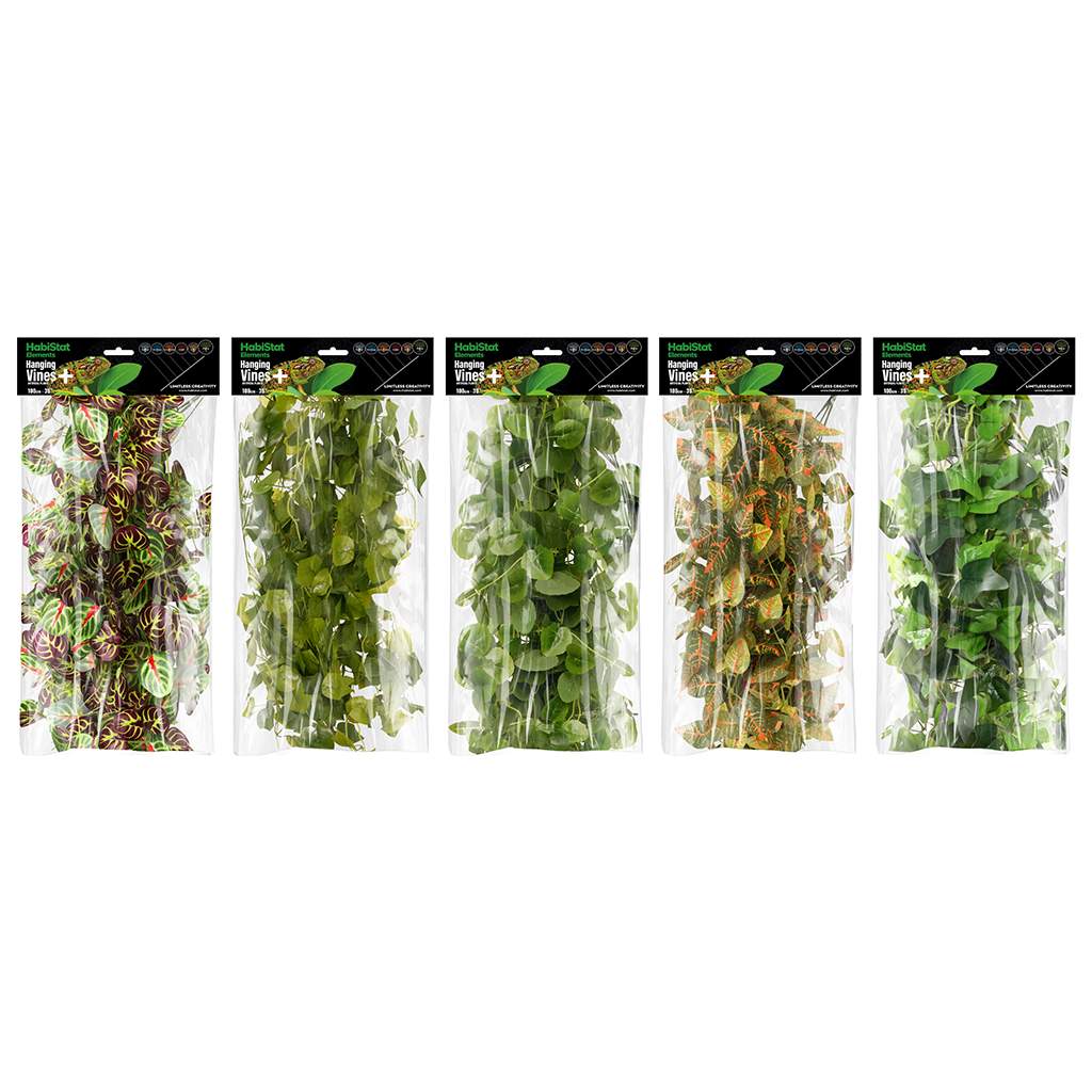 HabiStat Hängeranke Plus, 100cm